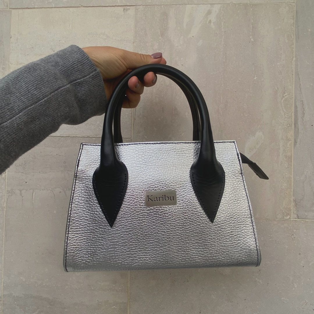 Javiera Silver Coin Purse