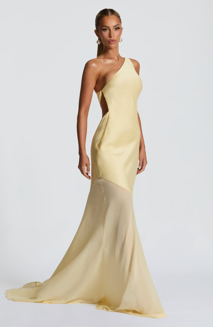 Carmen - Asymmetrical Mesh Evening Gown